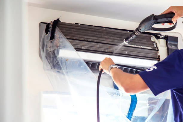 Best Local Air Duct Cleaning Services  in La Huerta, NM